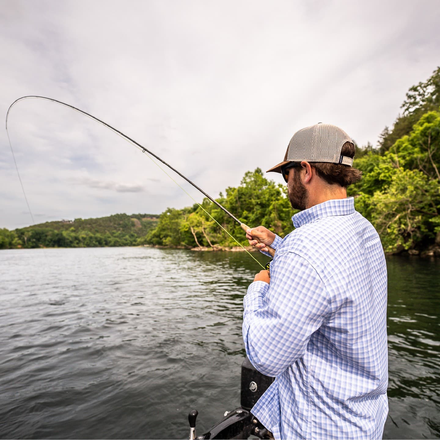 The Kingfish