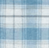 white and blue plaid